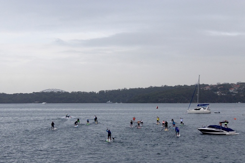 stand up paddle sydney harbour